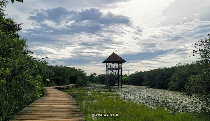 baddegana wetland park