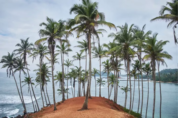 mirissa