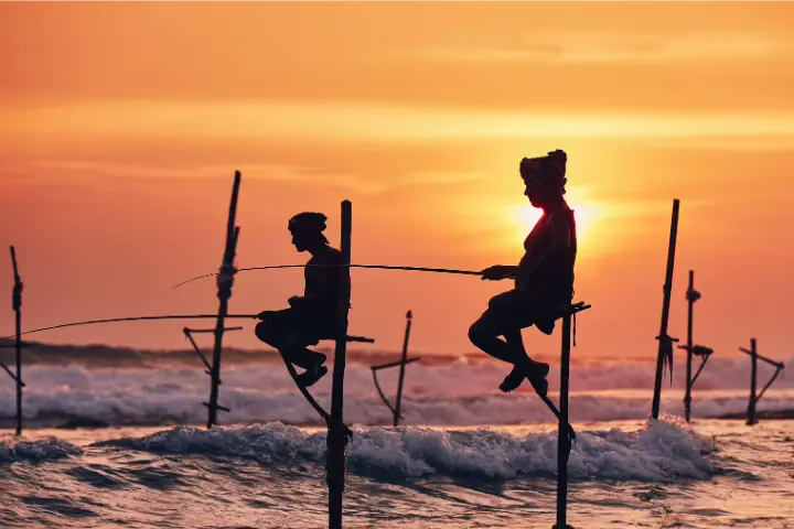 stilt fisherman sri lanka