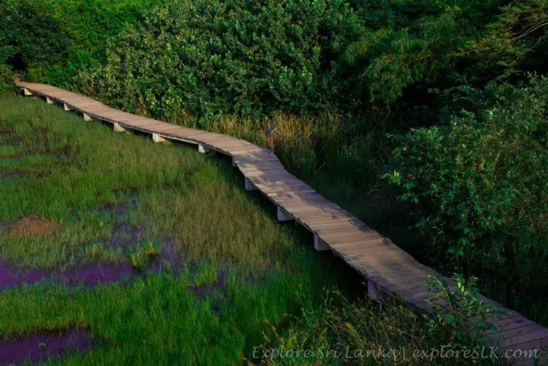 beddagana wetland park
