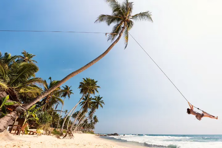 dalawella swing