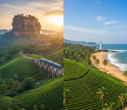 visit sri lanka