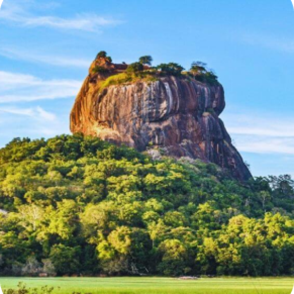 Mask-group2.png Mask-group2.png